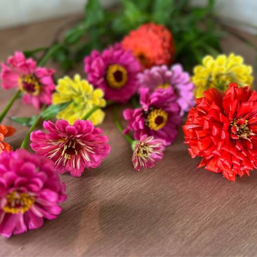 Thanks a Bunch Gift of Seeds image 7