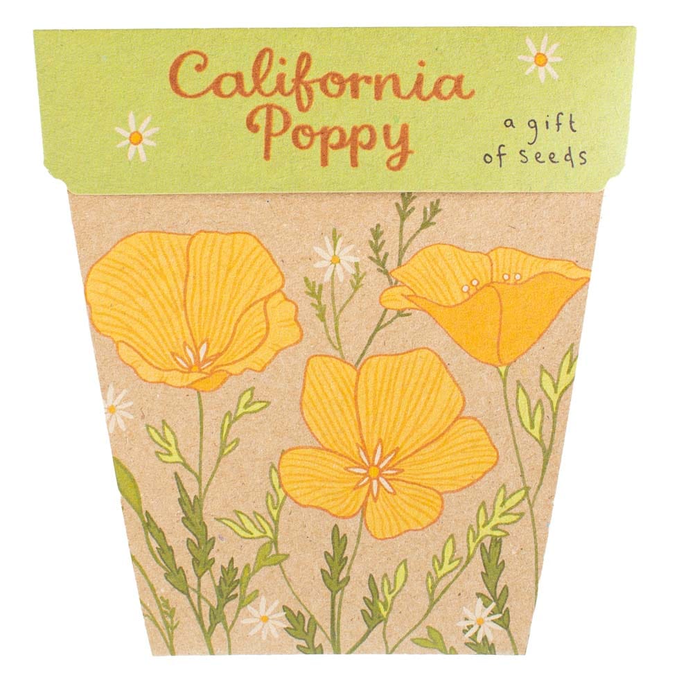 California Poppy Gift of Seeds image 0