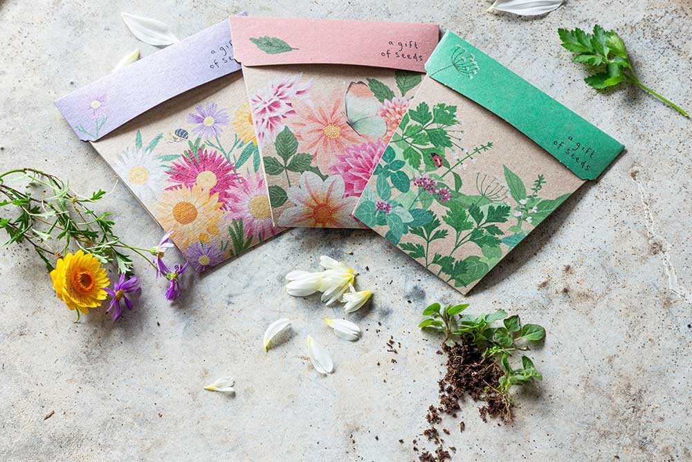 Garden Herbs Gift of Seeds image 5
