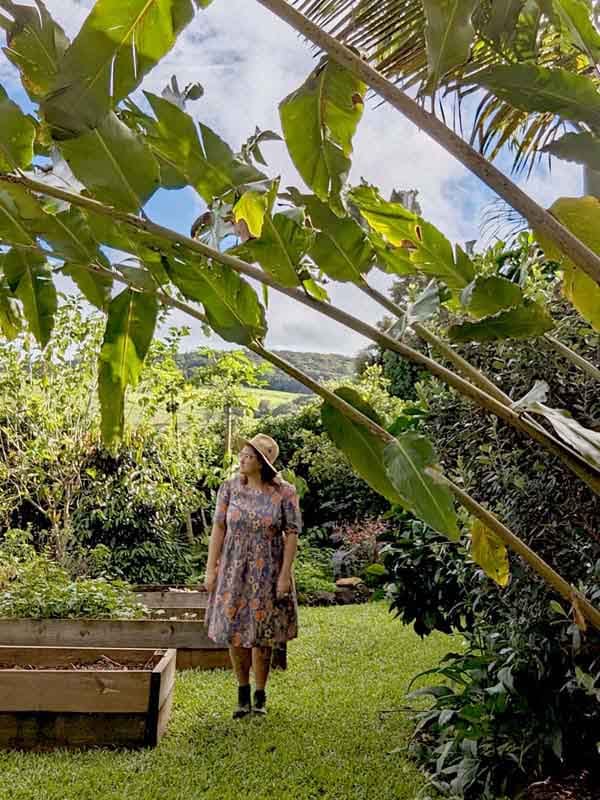 From Cold Hills to Lush Rainforests: Follow Brenner Lowe’s Journey to Creating a Thriving Edible Garden