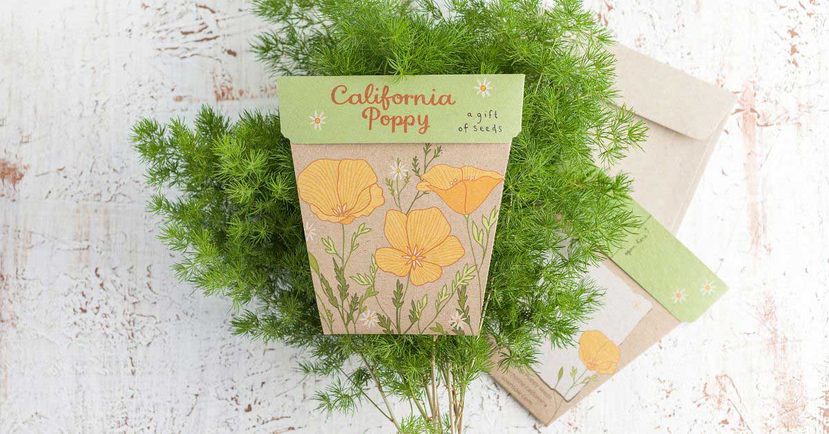 Blooming Wishes: 35 Beautiful Seed Cards for Any Occasion