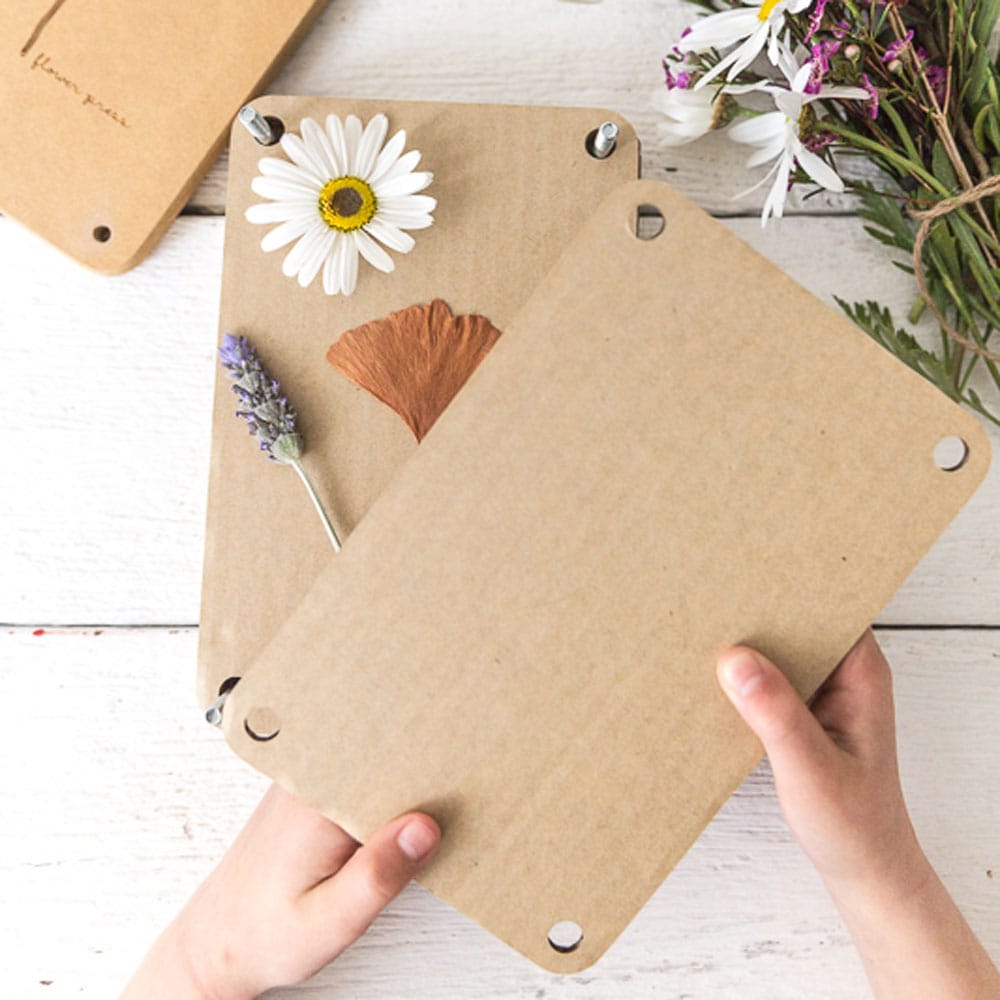 Flower Press Cardboard Refills
