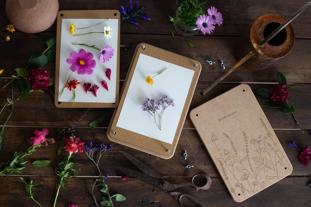 How to Make a Pressed Flower Frame