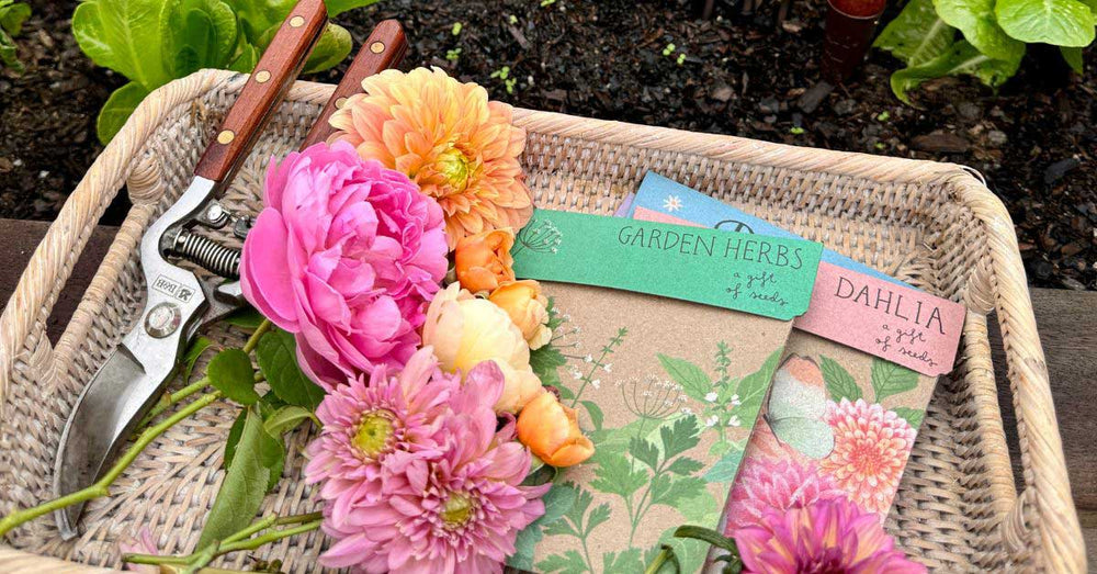 Gifts for Plant Lovers: 35 Thoughtful & Practical Presents