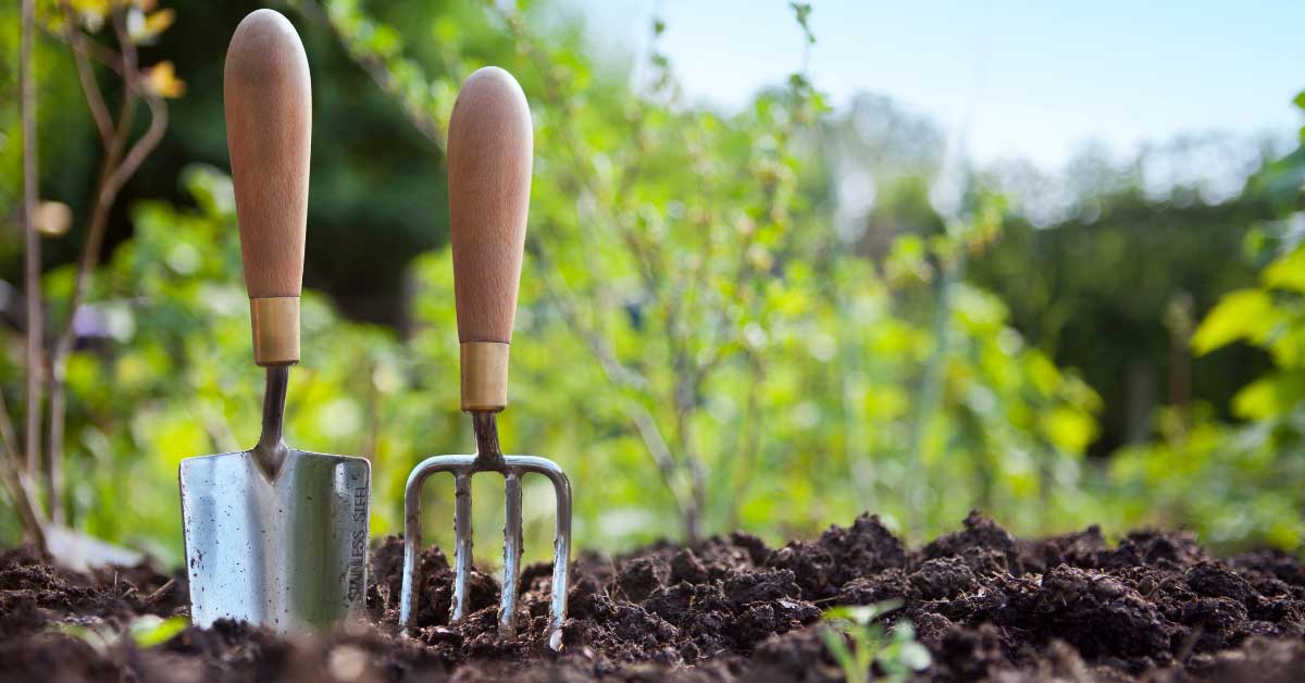 30 Green-Thumbed Delights: Father’s Day Gift Guide for Gardening Dads