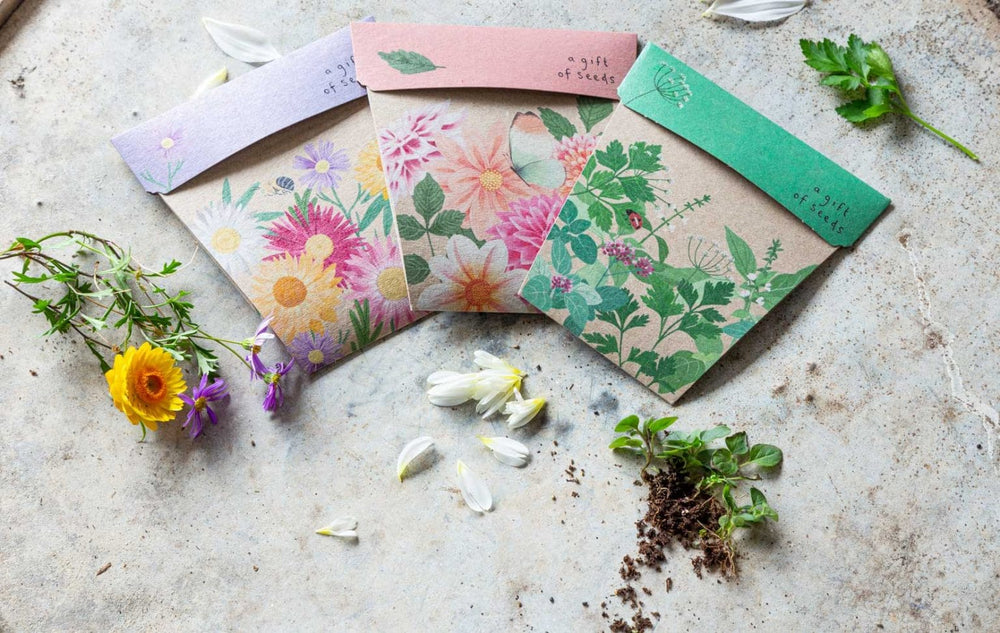 Celebrate a moment with our new Bloom Collection