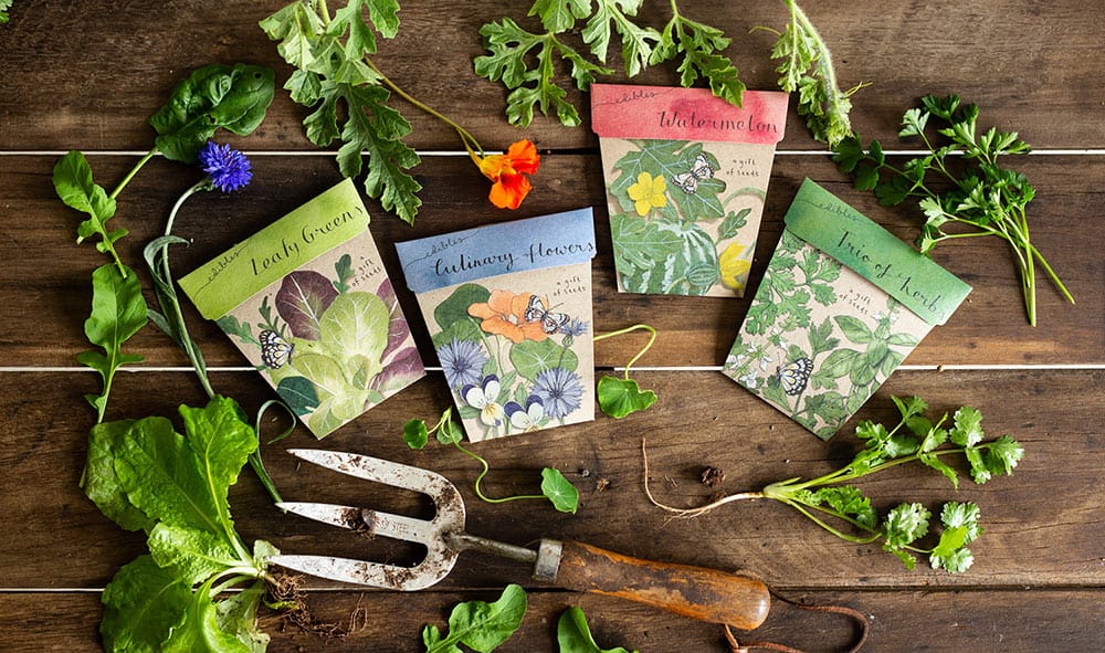 Introducing the ‘Edibles’ mini Gift of Seeds collection