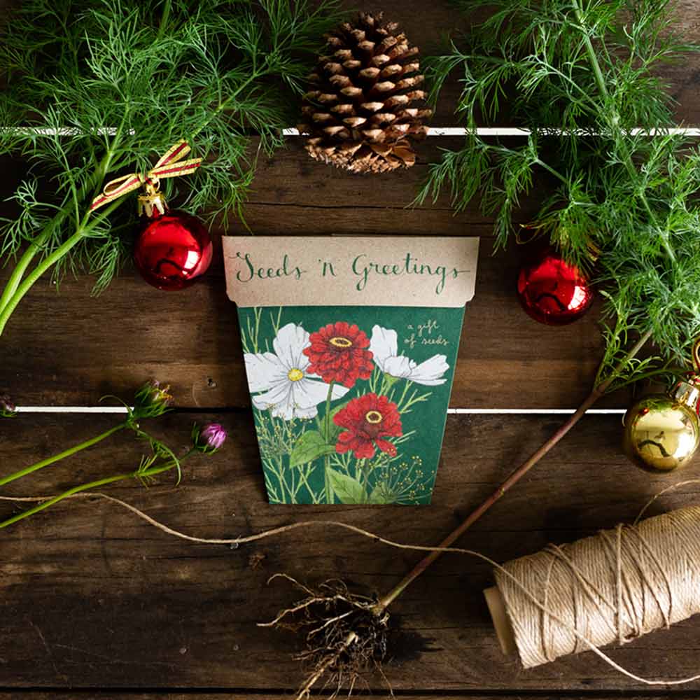 Seeds ‘n Greetings, A Gift of Seeds