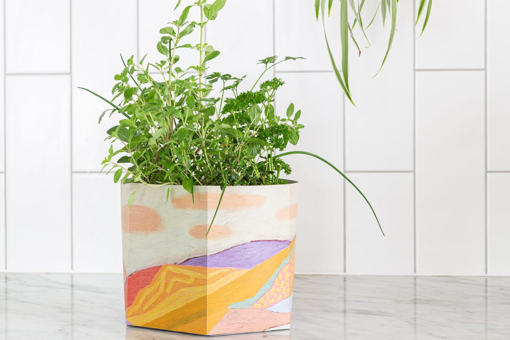 5 tips for growing a successful indoor herb garden