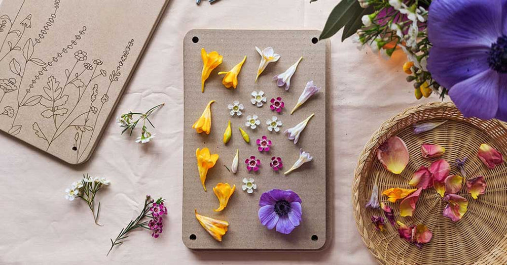 The Best Flowers to Press with a Flower Press
