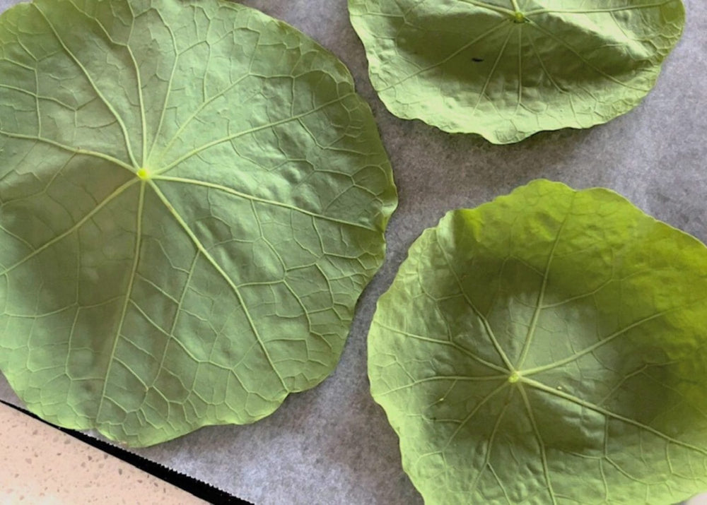 How to make delicious nasturtium chips