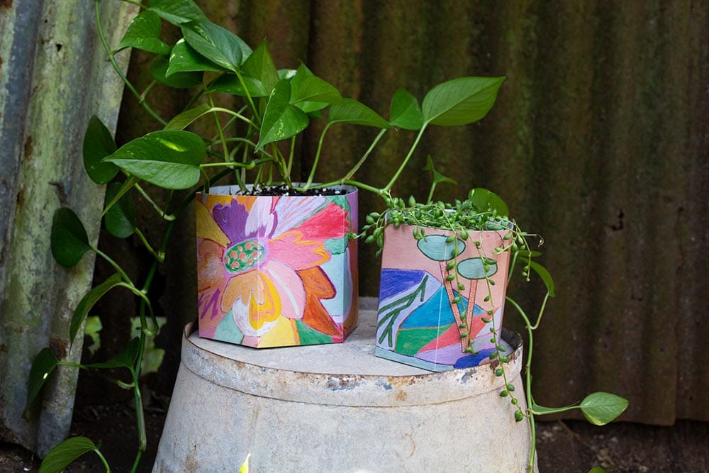 Stunning Sow ‘n Sow X Jackie Anderson Pop Up Pots