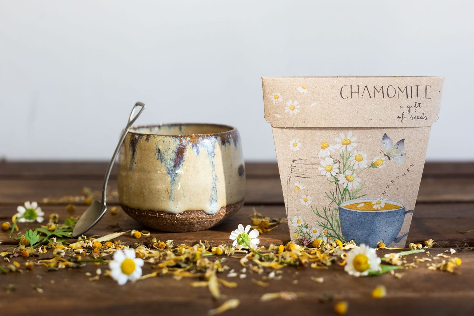 How to grow and brew tea at home
