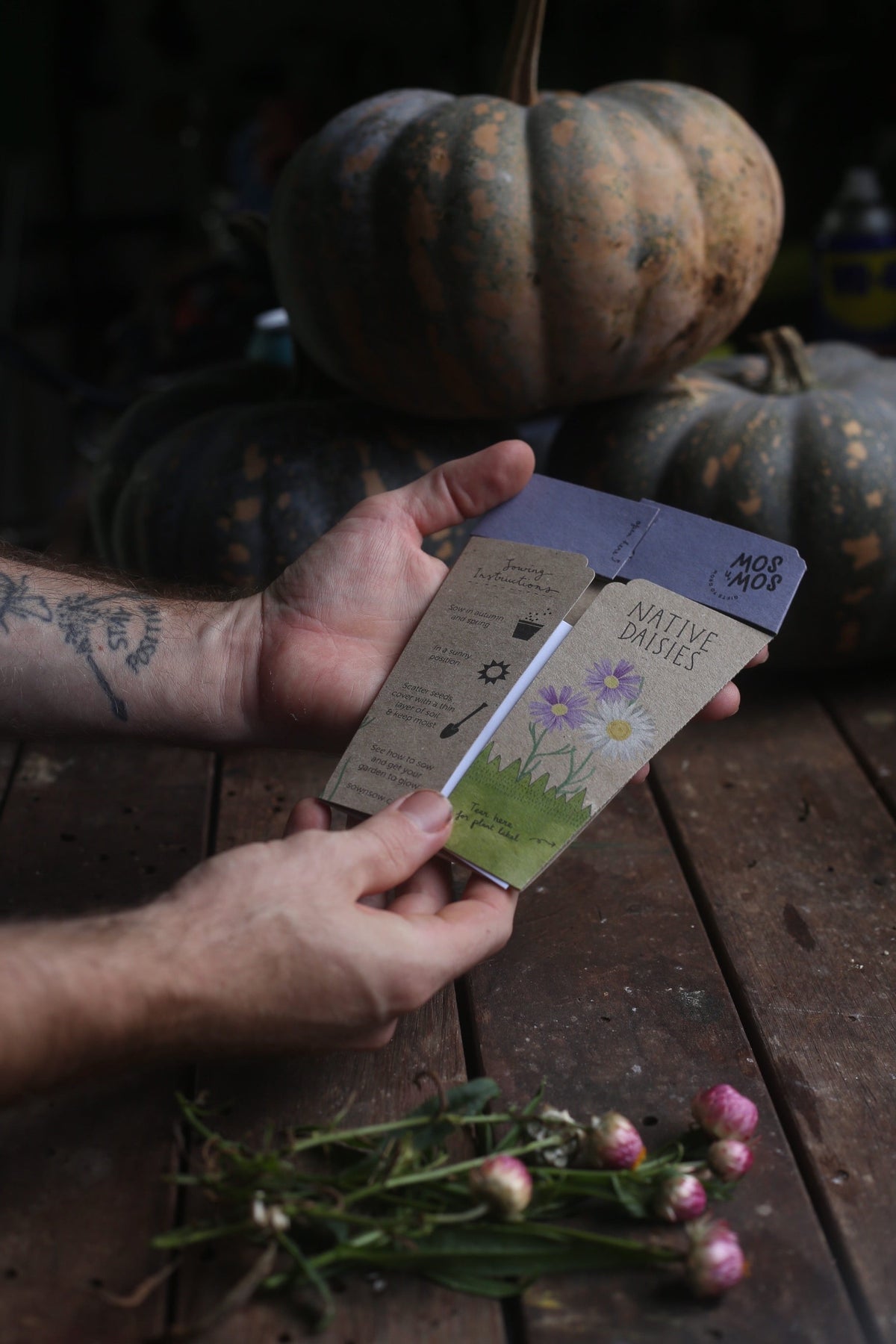 Australian Native Seed Gifts