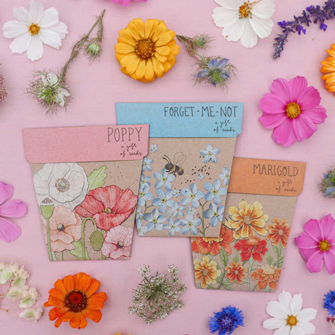 Flower Gifts of Seeds