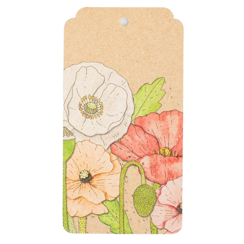 Poppy Gift Tag 10 Pack image 1