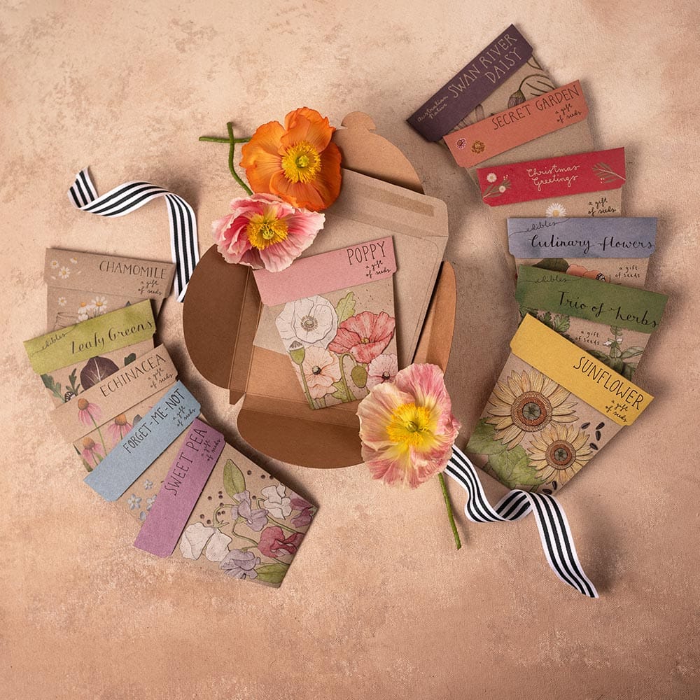 Gift of Seeds Flowers & Herbs Monthly Subscription image 0