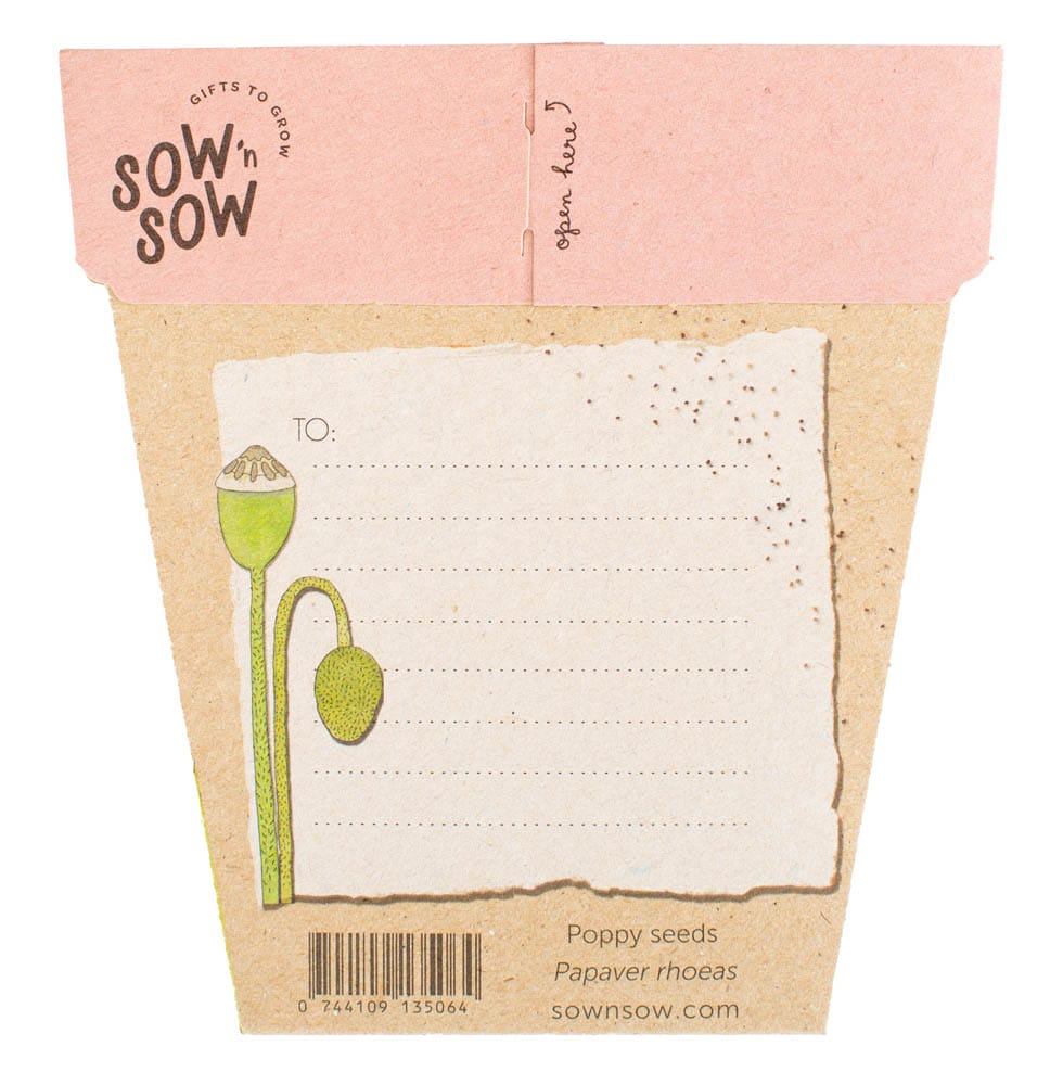 Sweet Posy Seed Gift Set image 3