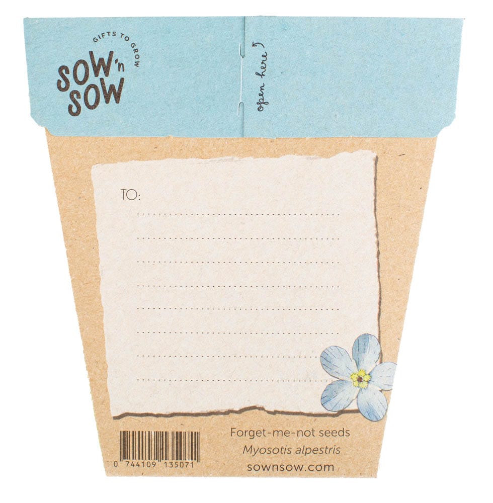 Sweet Posy Seed Gift Set image 7