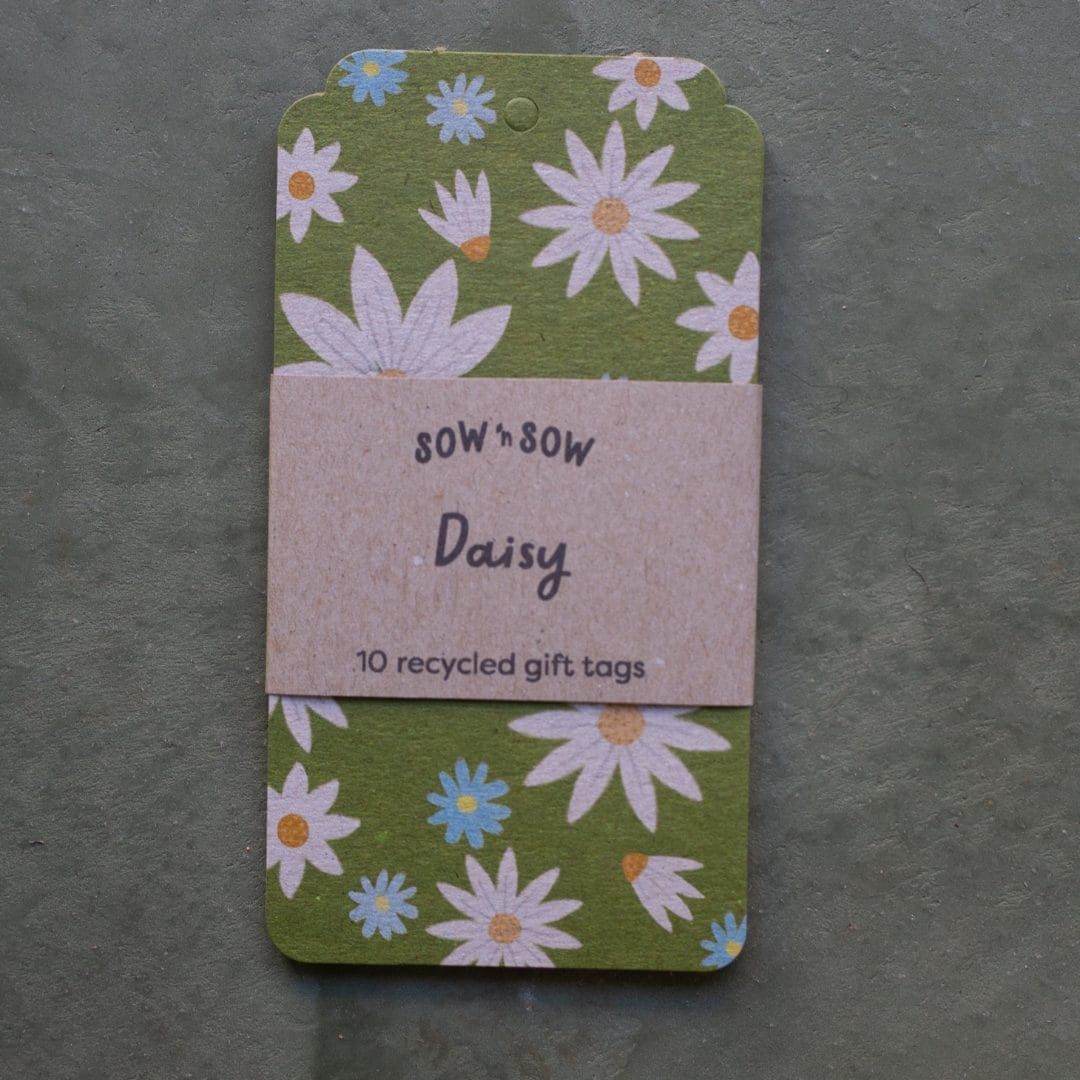 Daisy Gift Tag 10 Pack image 4