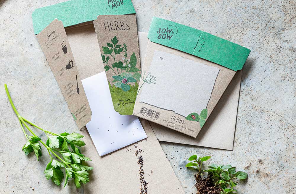 Garden Herbs Gift of Seeds image 4