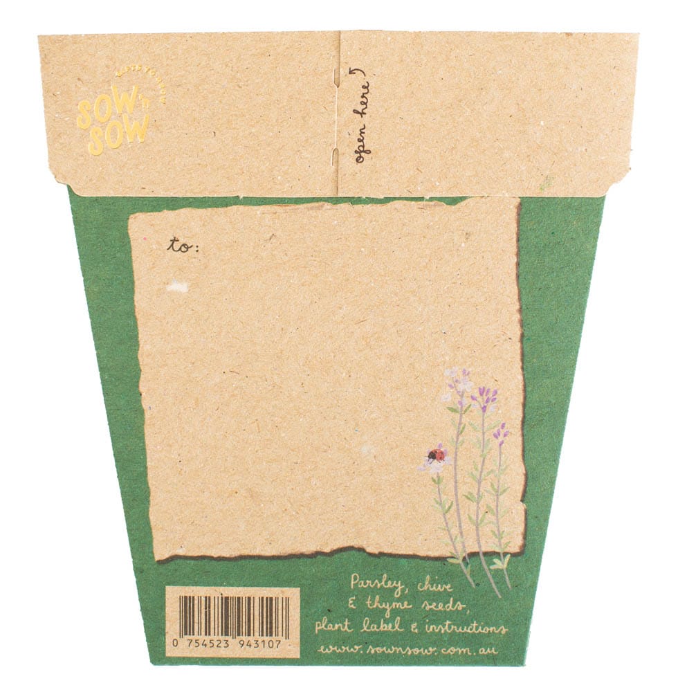 Christmas Herbs Seeds Set of 4 image 3