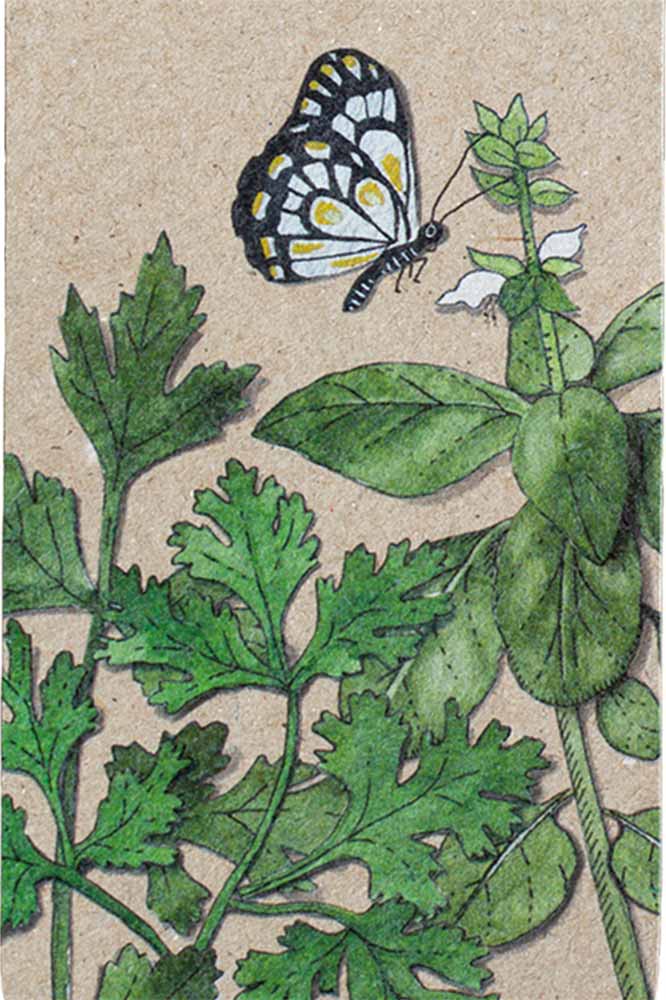 Trio of Herbs Gift Tag 10 Pack image 3