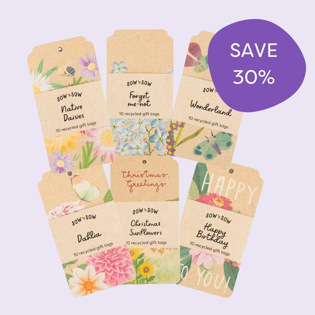 Any 6 Recycled Gift Tag Packs image 0