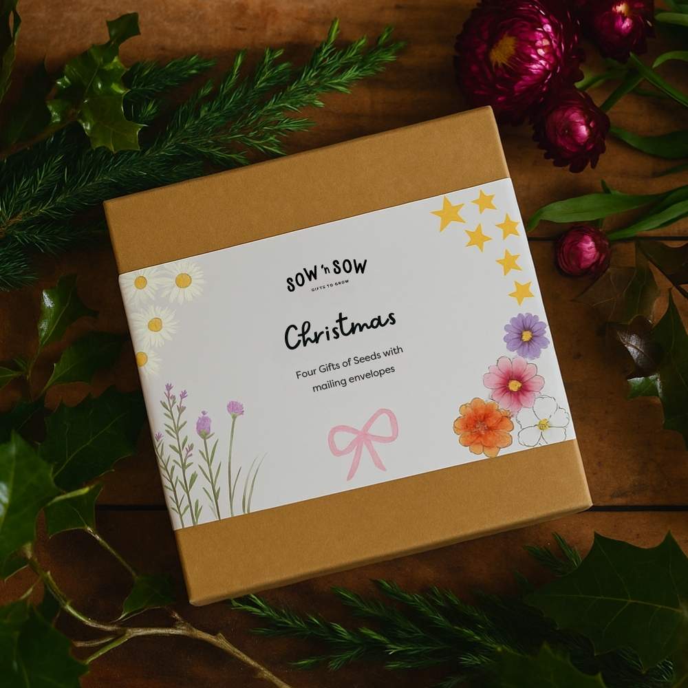 Christmas Gift of Seeds Boxed Set of 4 image 0