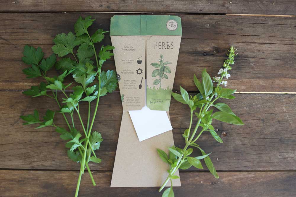 Trio of Herbs Gift of Seeds image 4