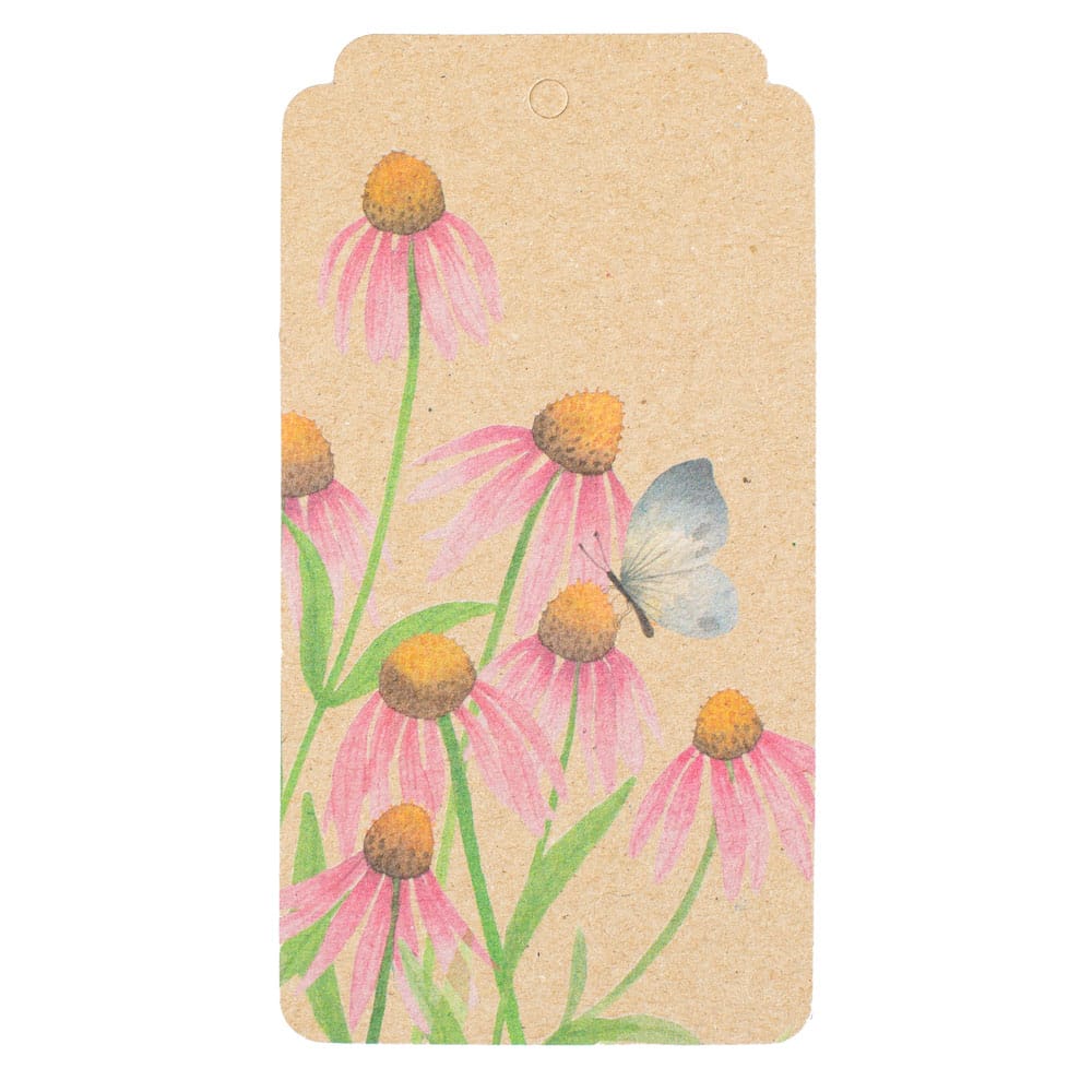Echinacea Gift Tag 10 Pack image 1