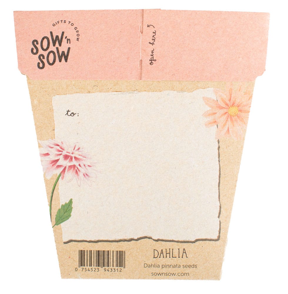 Sweet Posy Seed Gift Set image 9