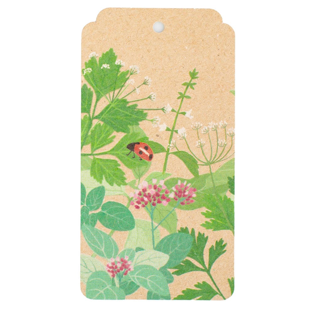 Garden Herbs Gift Tag 10 Pack image 1