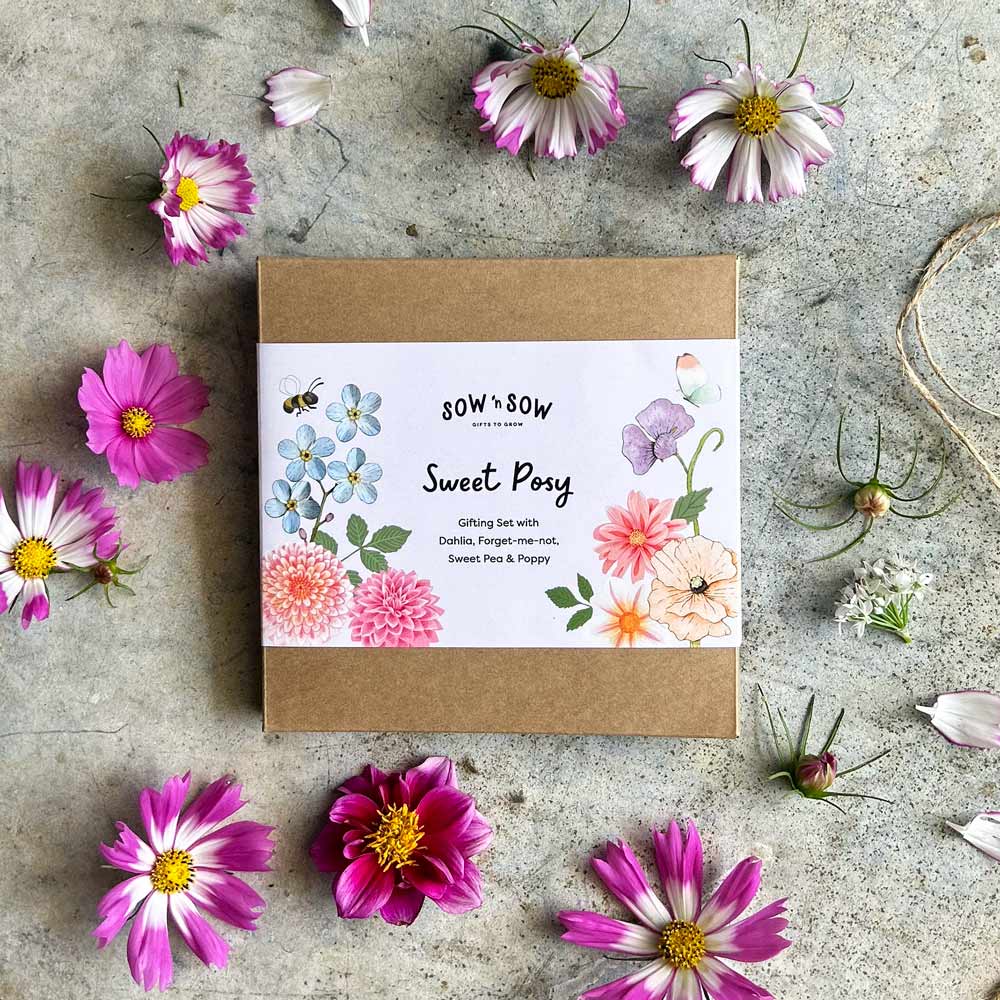 Sweet Posy Seed Gift Set image 11