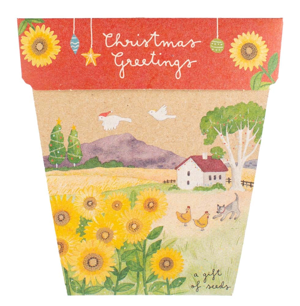 Christmas Gift of Seeds Bundle image 5