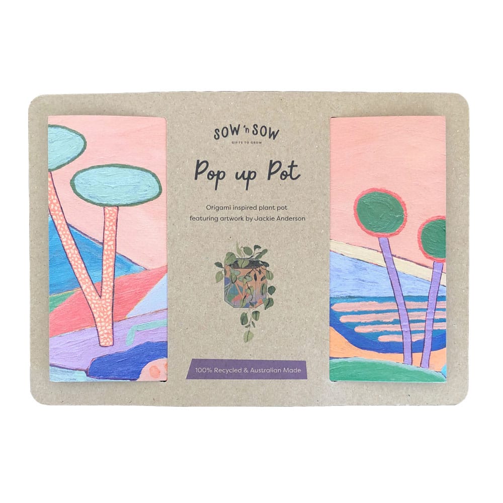 Pop Up Pot 'Yonder' Small - SOLD OUT image 1