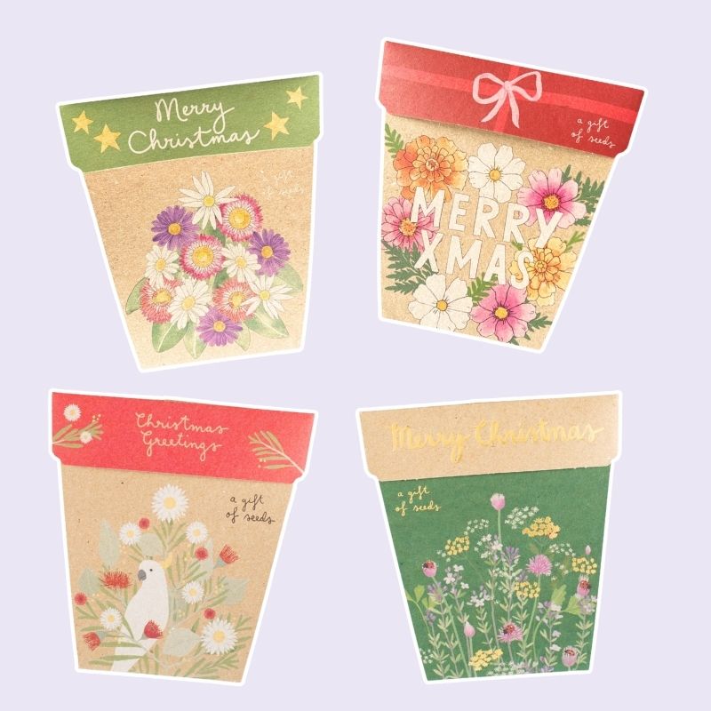Christmas Gift of Seeds Boxed Set of 4 image 1