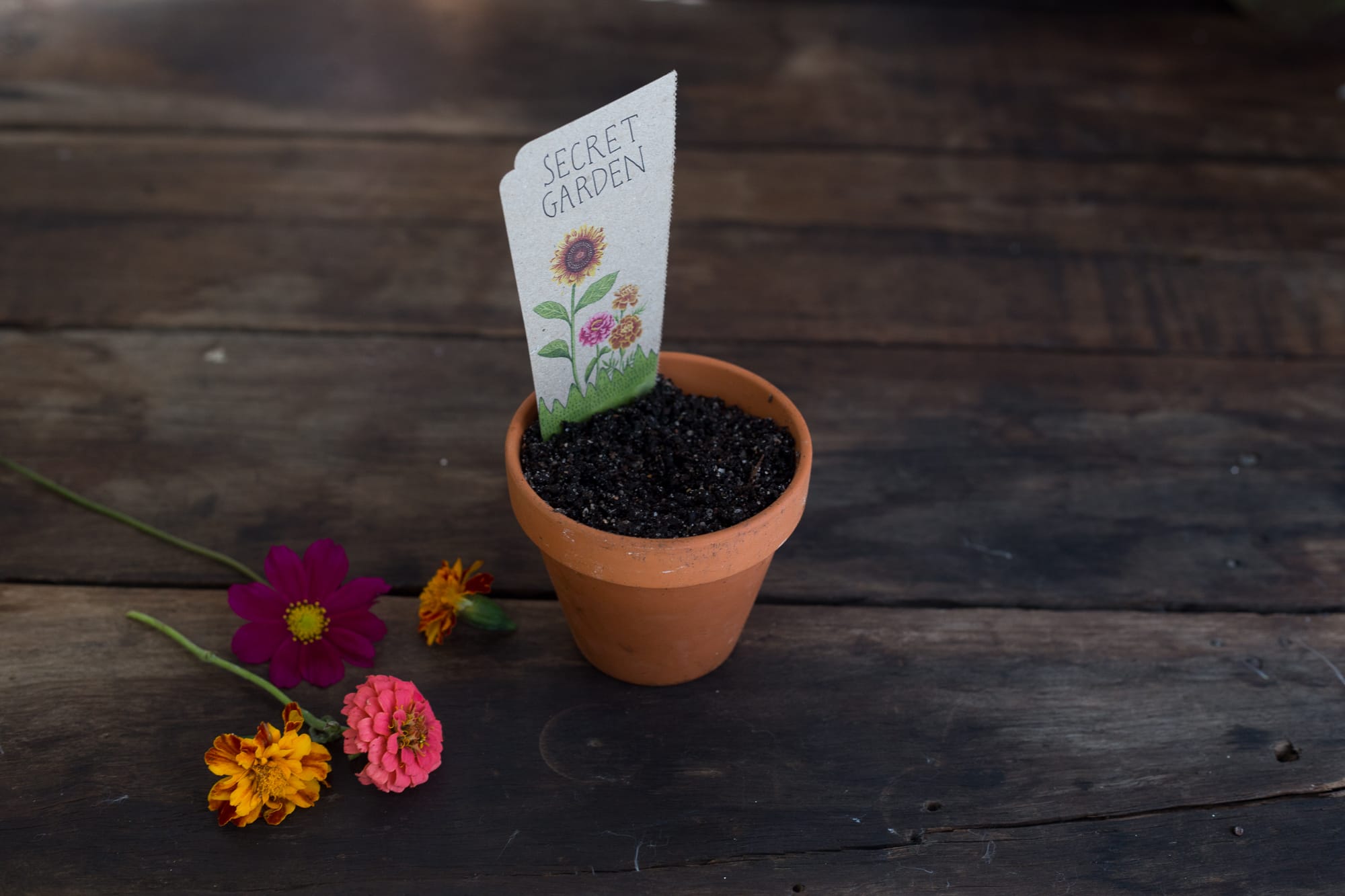 Secret Garden Gift of Seeds image 6