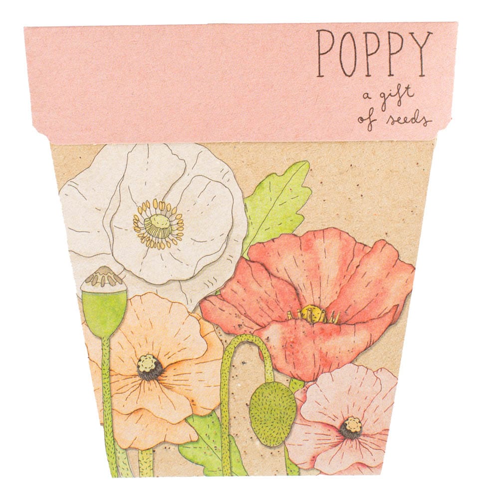 50 Gift of Seed Packs Bulk Buy image 10