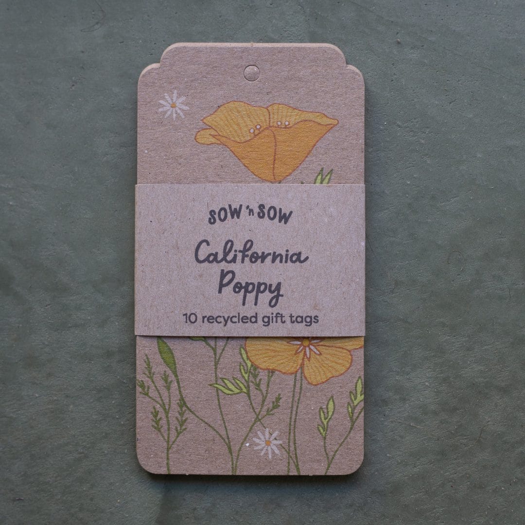 California Poppy Gift Tag 10 Pack image 3
