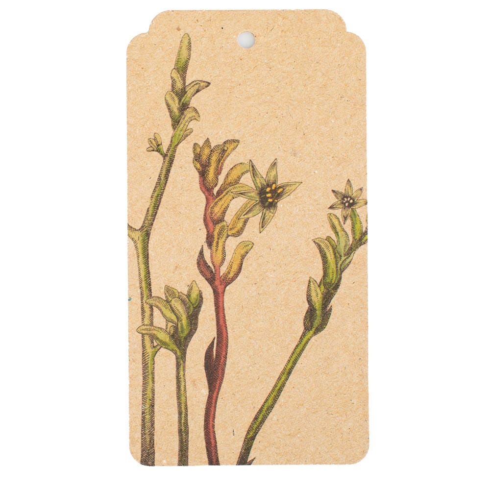Kangaroo Paw Gift Tag 10 Pack image 1
