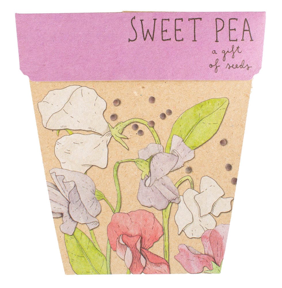 50 Gift of Seed Packs Bulk Buy image 12