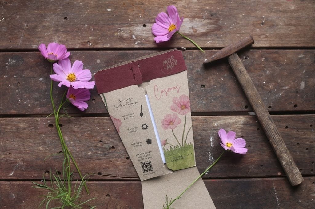 'You're Blooming Beautiful' limited edition Gift of Seeds image 3