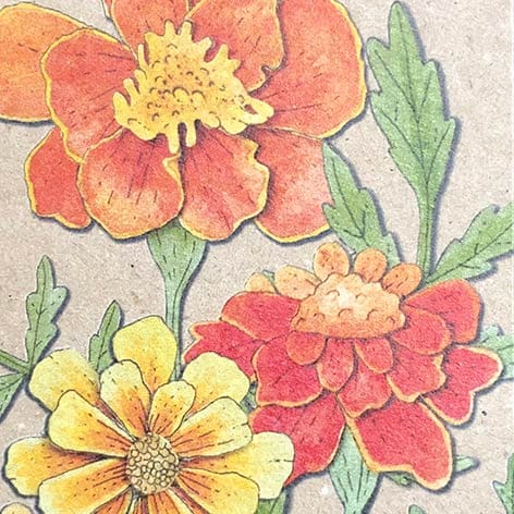 Marigold Gift Tag - 10 Pack image 3