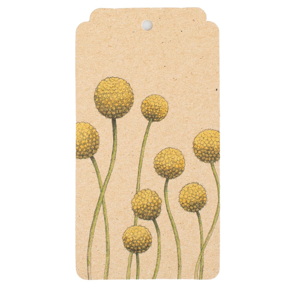 Billy Buttons Gift Tag 10 Pack image 1