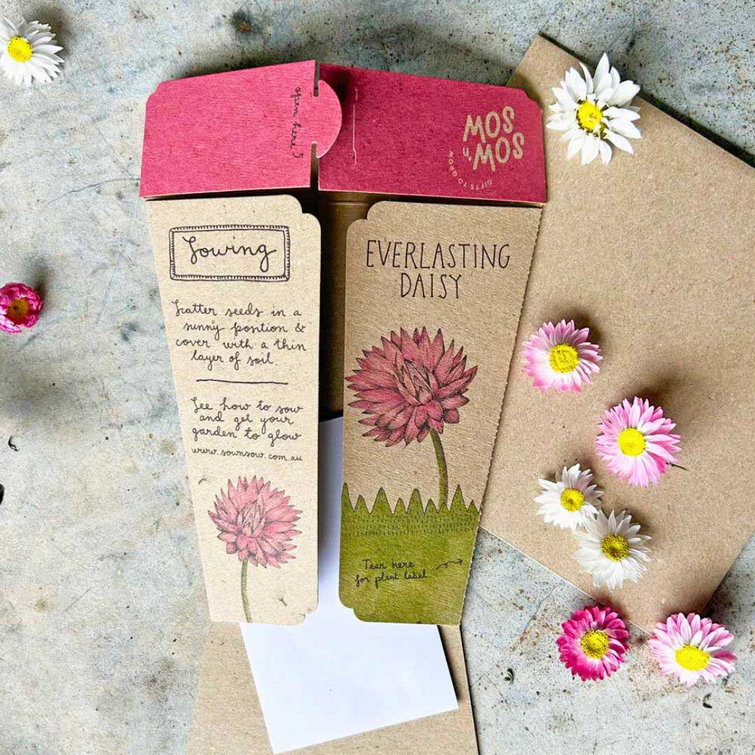 Australian Native Seed Gift Set image 15