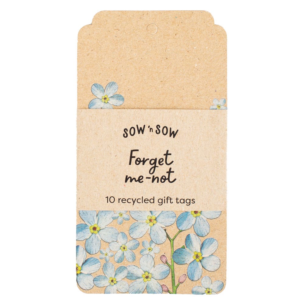 Forget-me-not Gift Tag 10 Pack image 0