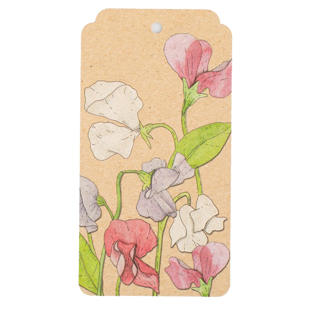 Sweet Pea Gift Tag 10 Pack image 1