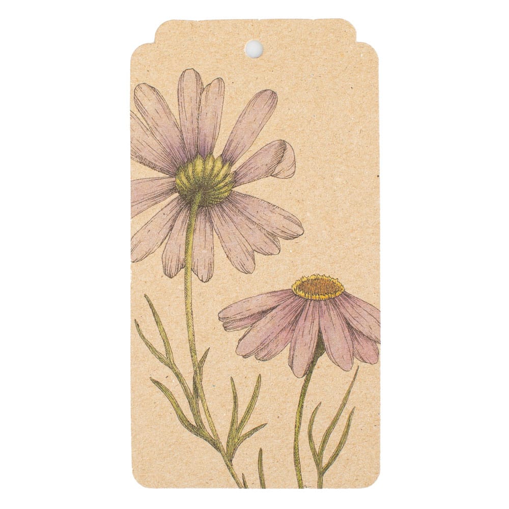 Swan River Daisy Gift Tag 10 Pack image 1