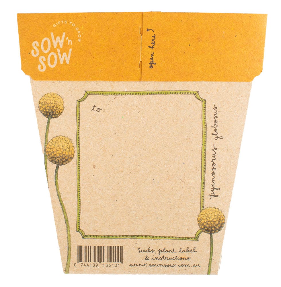 Australian Native Seed Gift Set image 4
